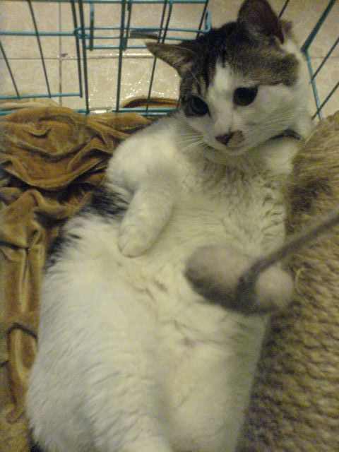 DSC00092 DSC00092